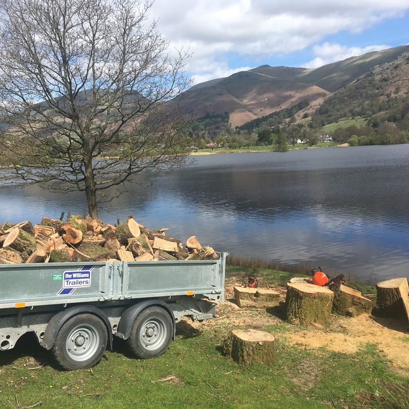 Fire Wood by The Trailer Load Delivered in Cumbria